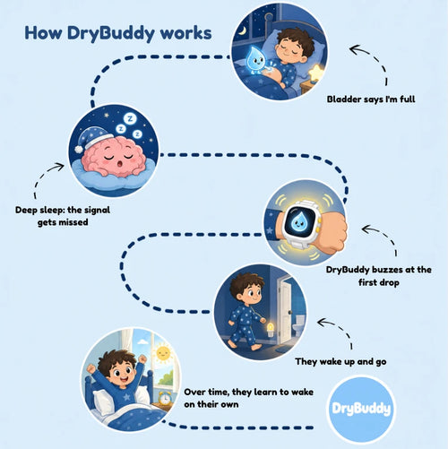 DryBuddy Bedwetting Alarm Kit